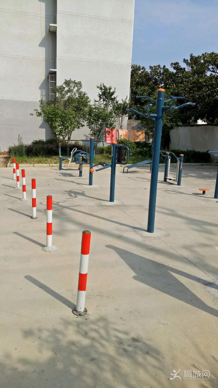 IMG20190708083242.jpeg
