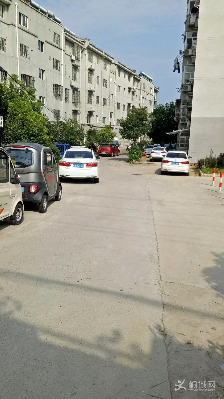 IMG20190708083451.jpeg