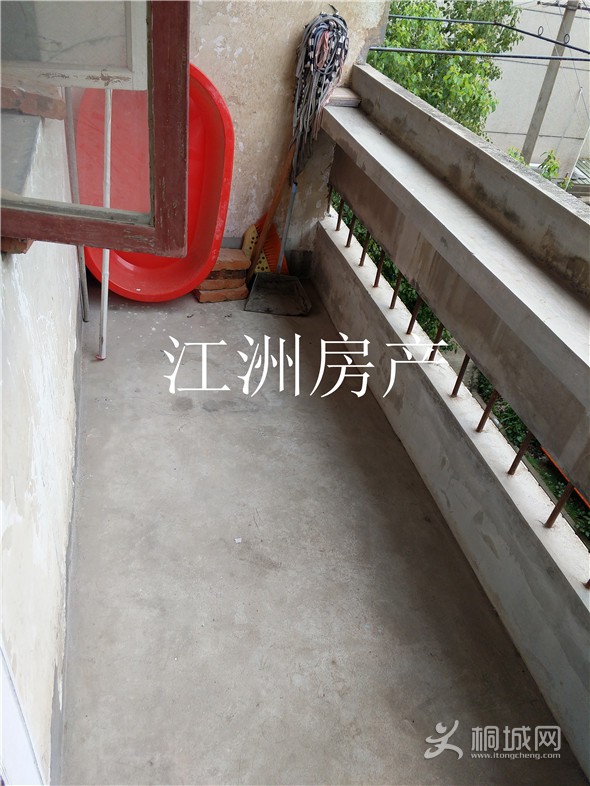 IMG_20190709_155027.jpg