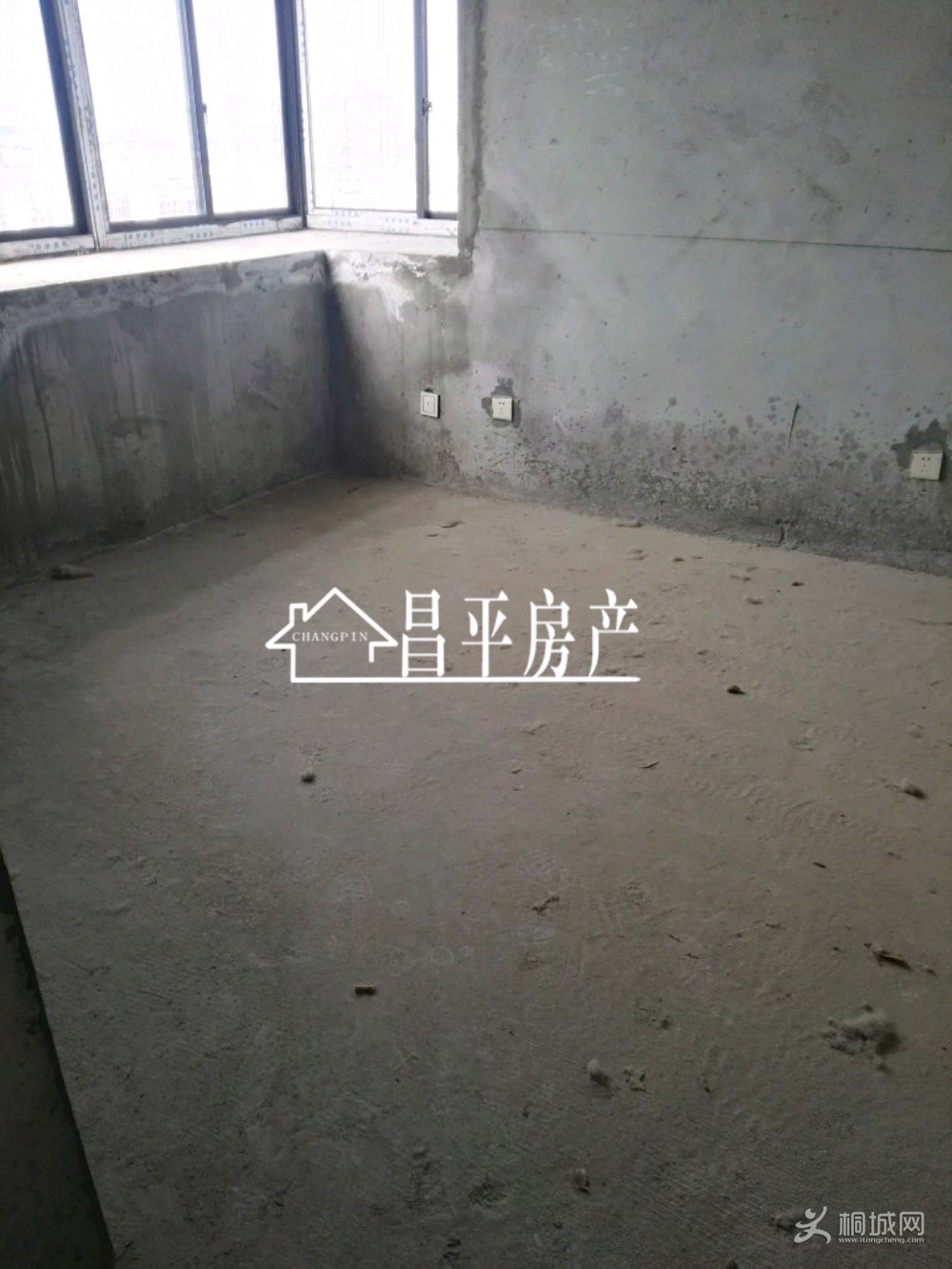 ZyjCHF0lprqAeWvlAAGdjibKpaU980.jpg