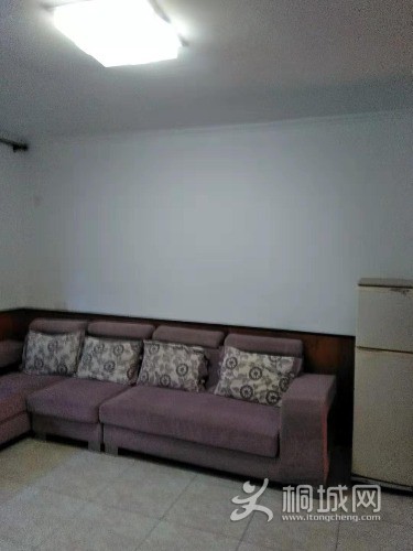 mmexport1562922416361.jpg