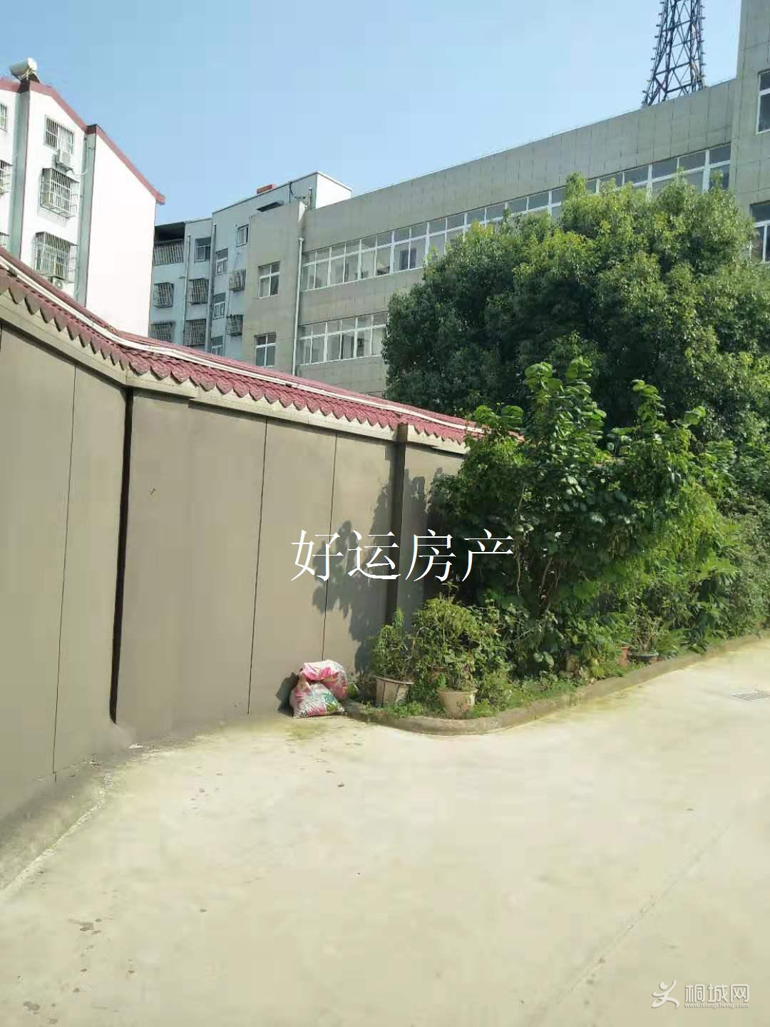 ΢ͼƬ༭_20190706170811.jpg