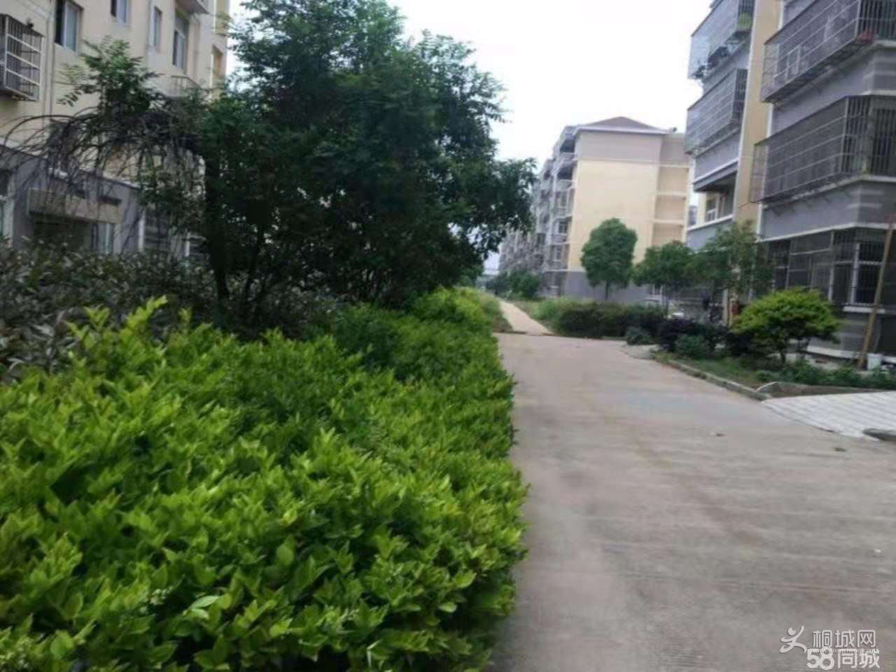 ΢ͼƬ_20190718092731.jpg