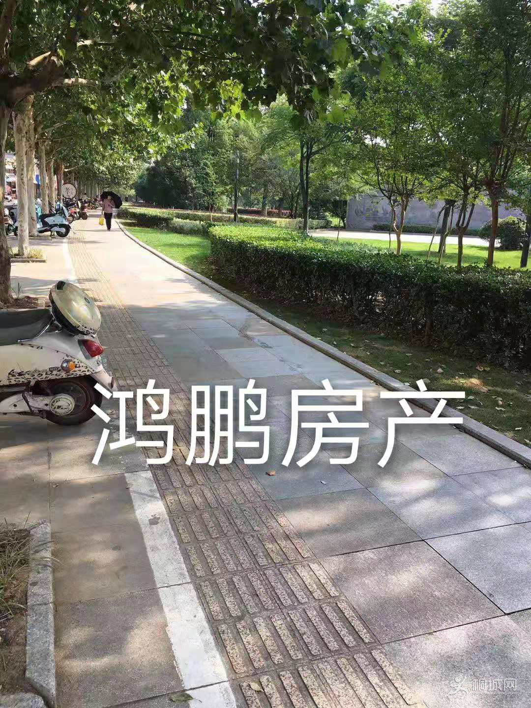 𿭴󶼻04.jpg