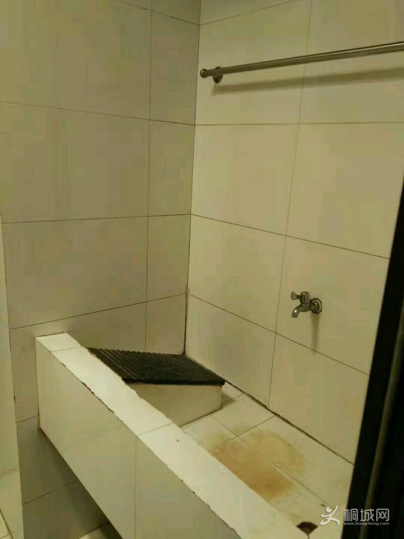mmexport1563676492535.jpeg