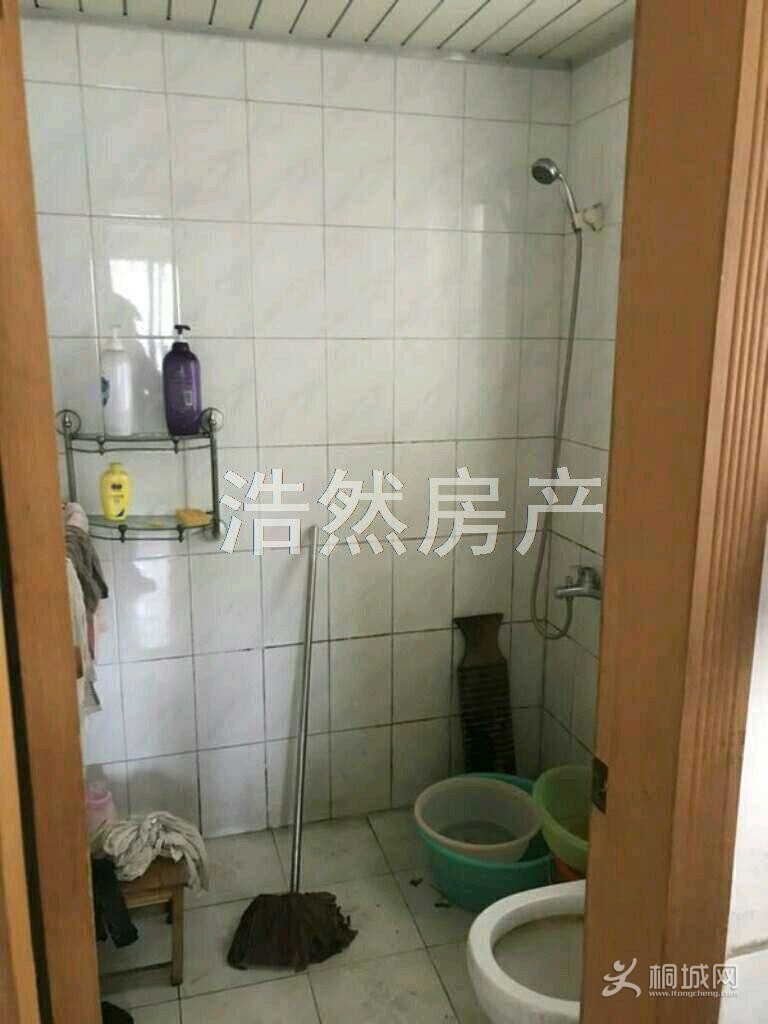 mmexport1563888699035.jpeg