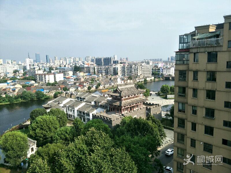 IMG20190727162811.jpeg