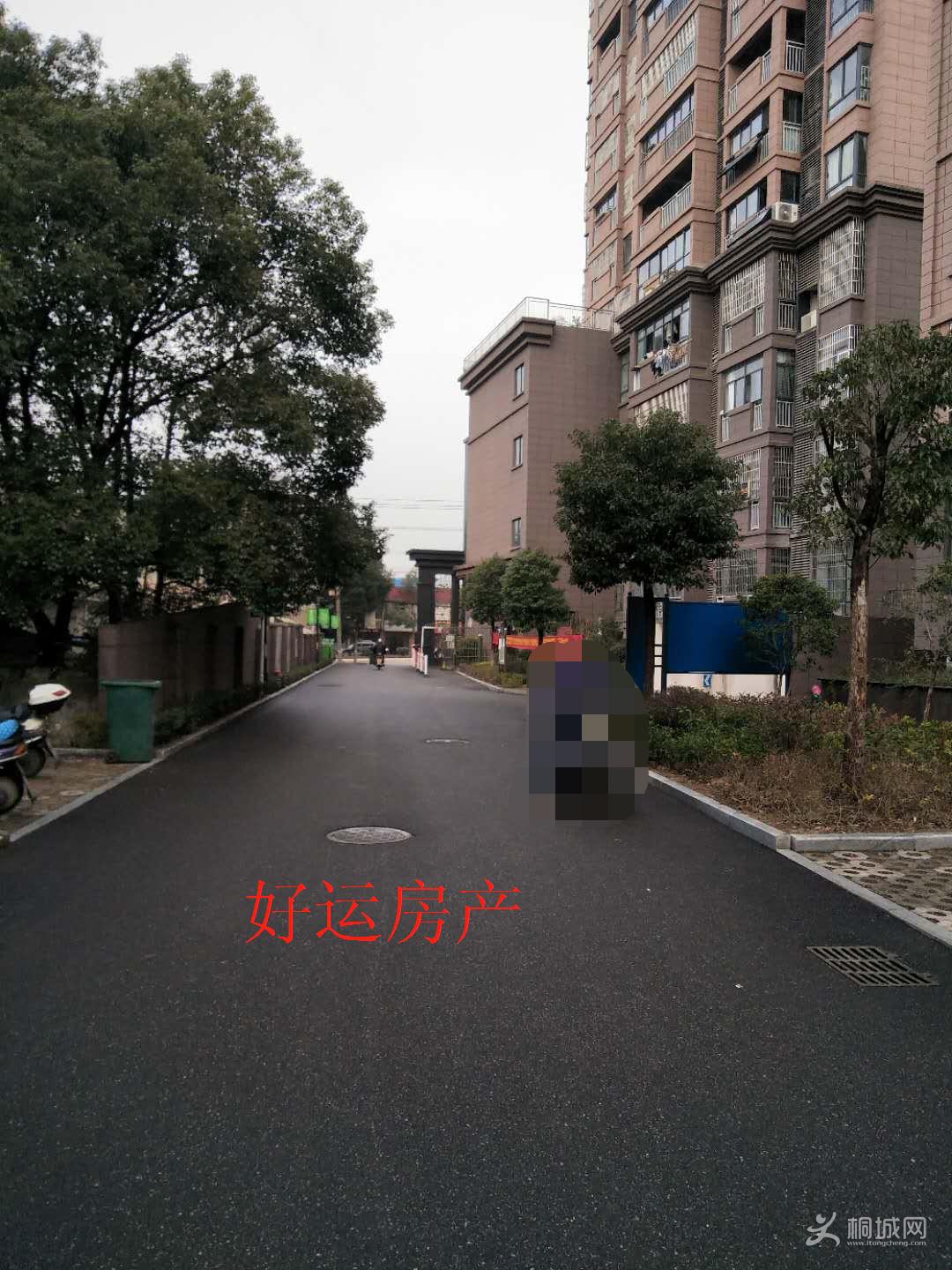 ΢ͼƬ༭_20190112101120.jpg
