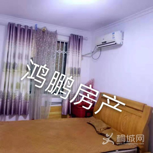 image.jpeg