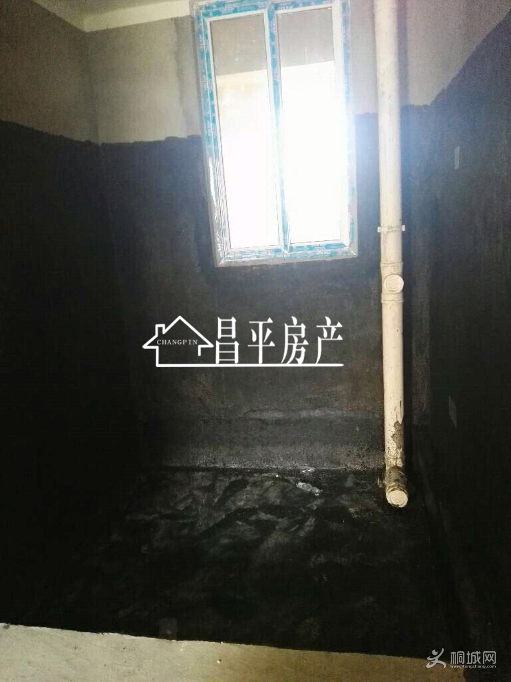 ZyjCI11eA9aAGieRAADB2xZIhH4770.jpg