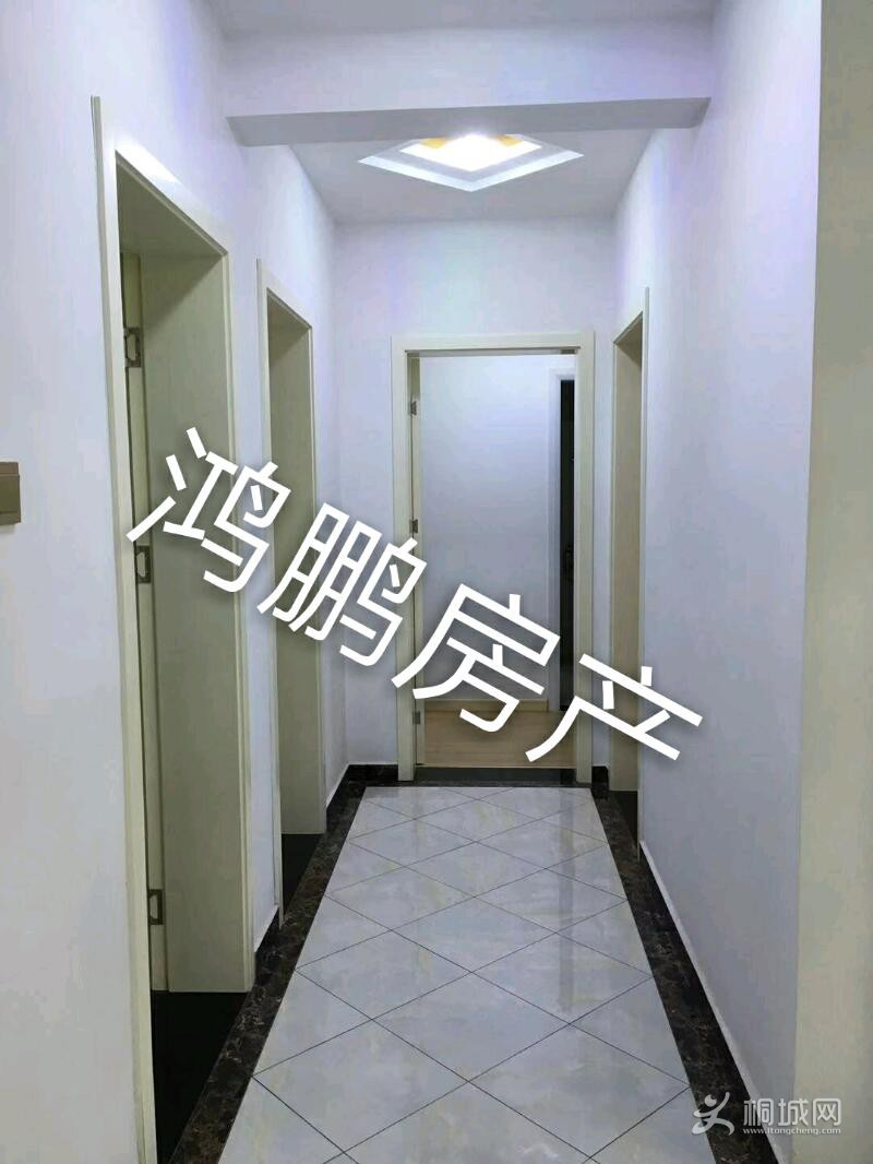 mmexport1565836041437_mh1565836340902.jpeg
