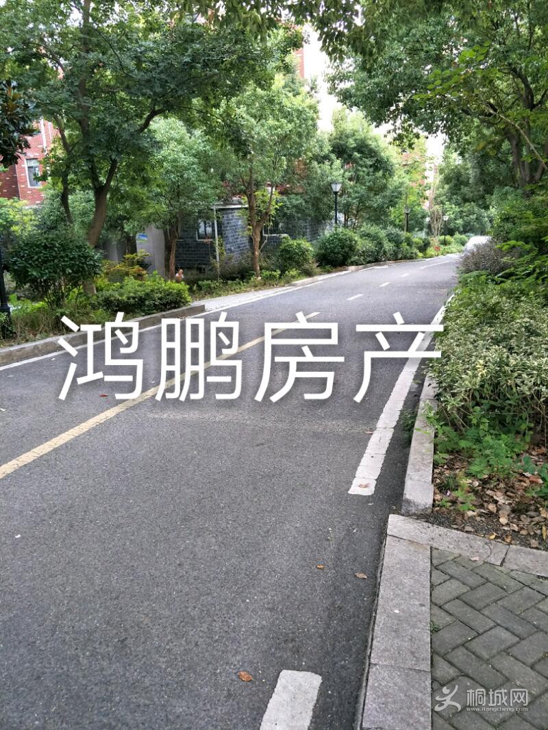 IMG20190815181034_mh1566700429934.jpeg