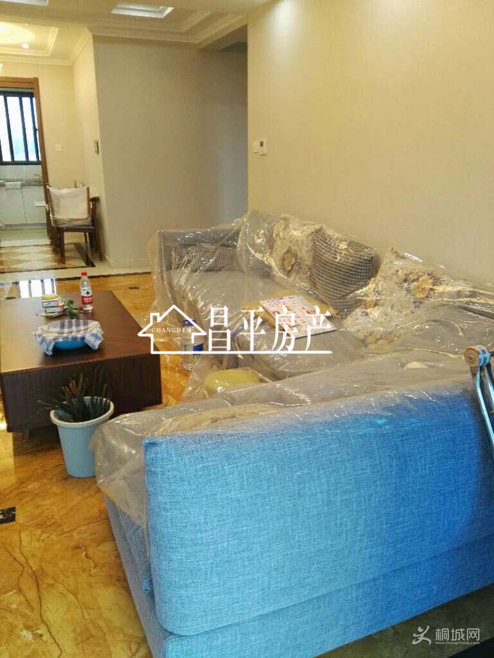 ZyjCH11ss7-AMiX9AAE_WoY2eiY490.jpg