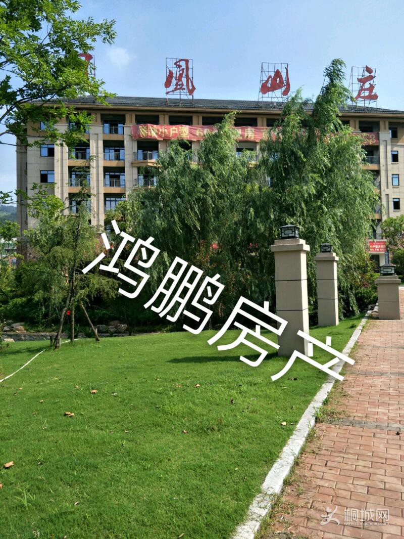 IMG20190727092108_mh1567992143004.jpeg