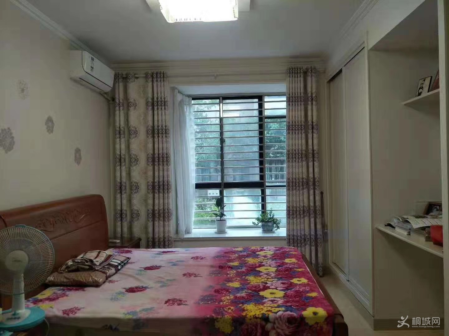 mmexport1567493147922.jpg