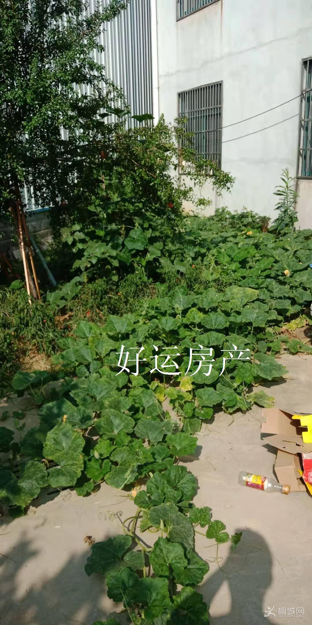 ΢ͼƬ༭_20190911154837.jpg