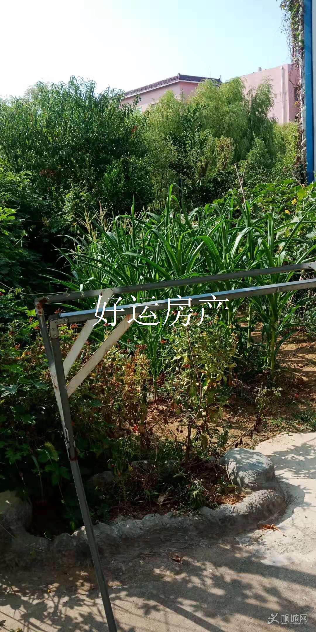 ΢ͼƬ༭_20190911111611.jpg