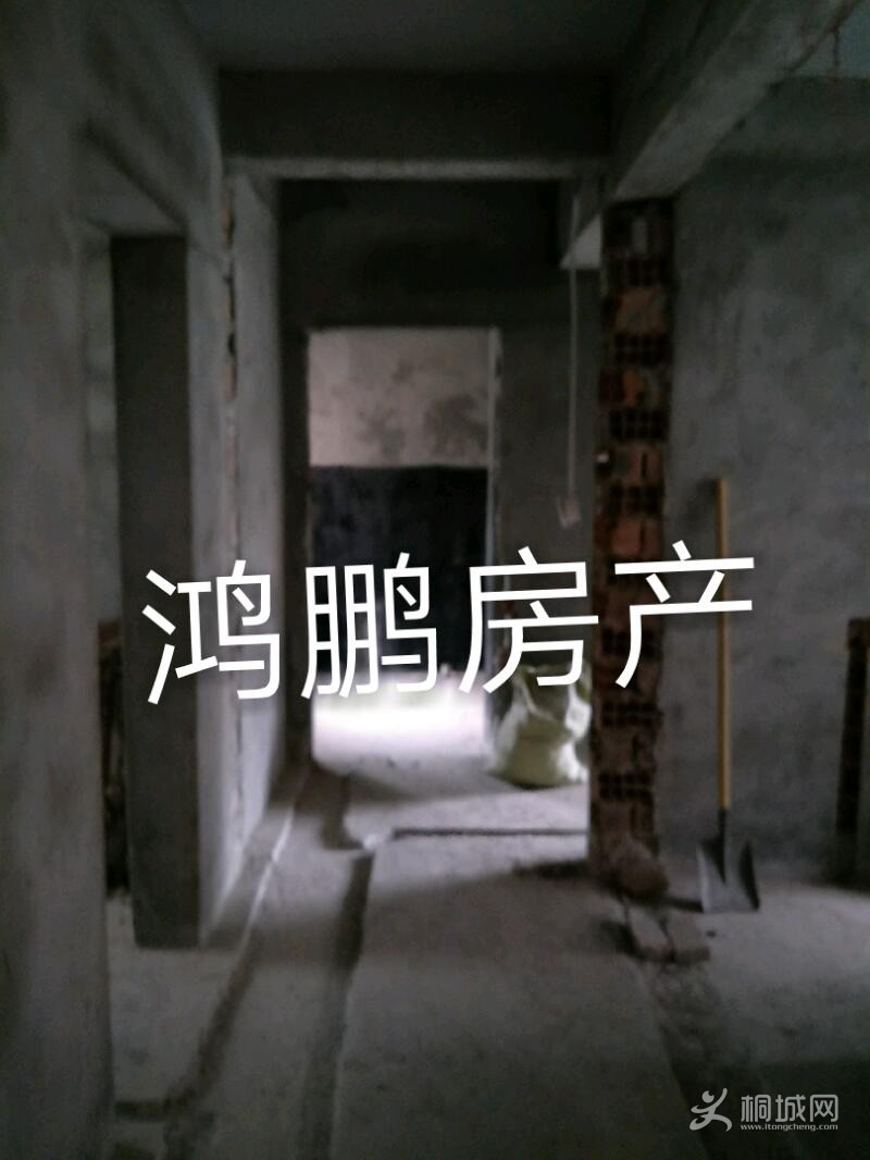 IMG20190915173646_mh1568595294380.jpeg