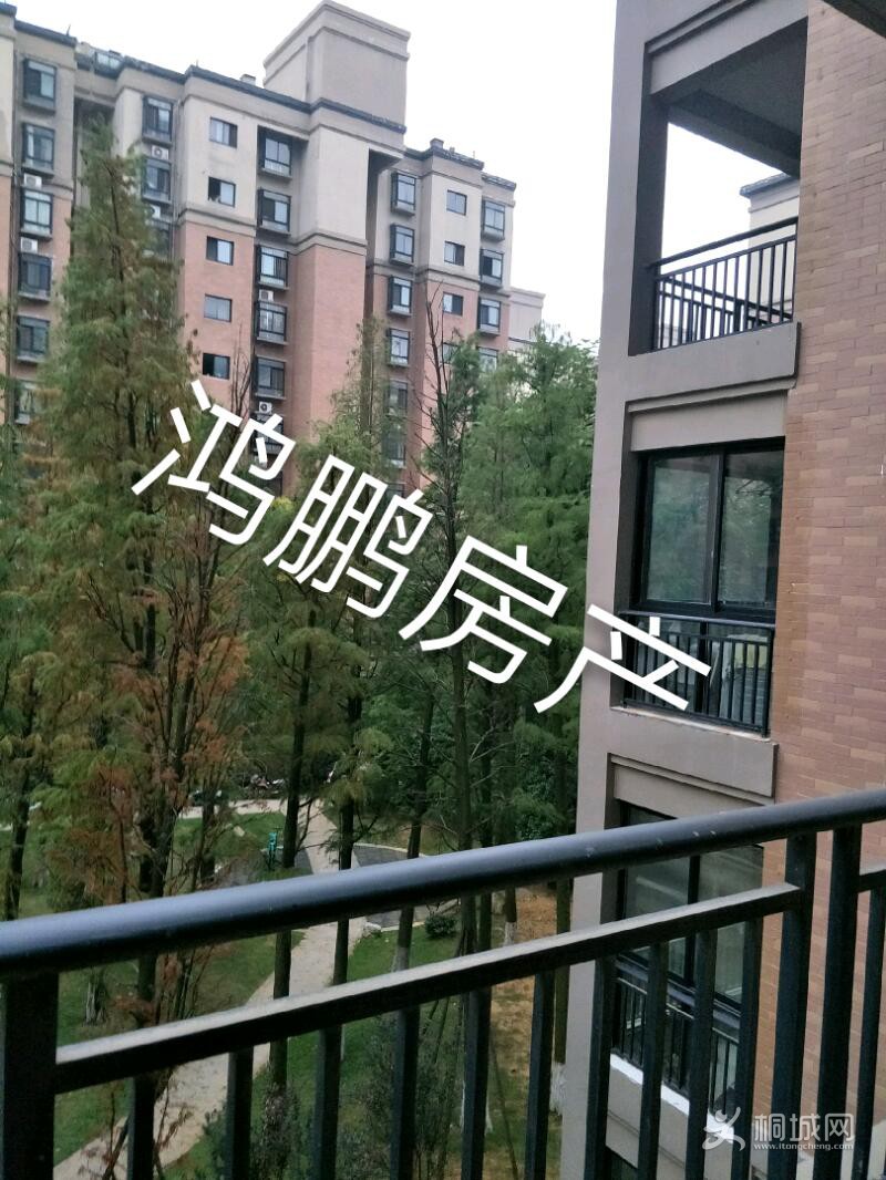 IMG20190915173813_mh1568595324931.jpeg