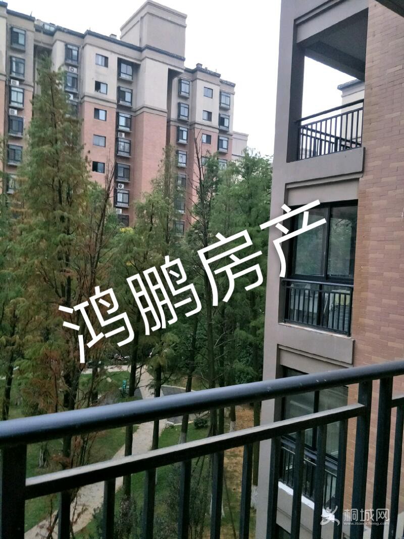 IMG20190915173813_mh1568796543285.jpeg