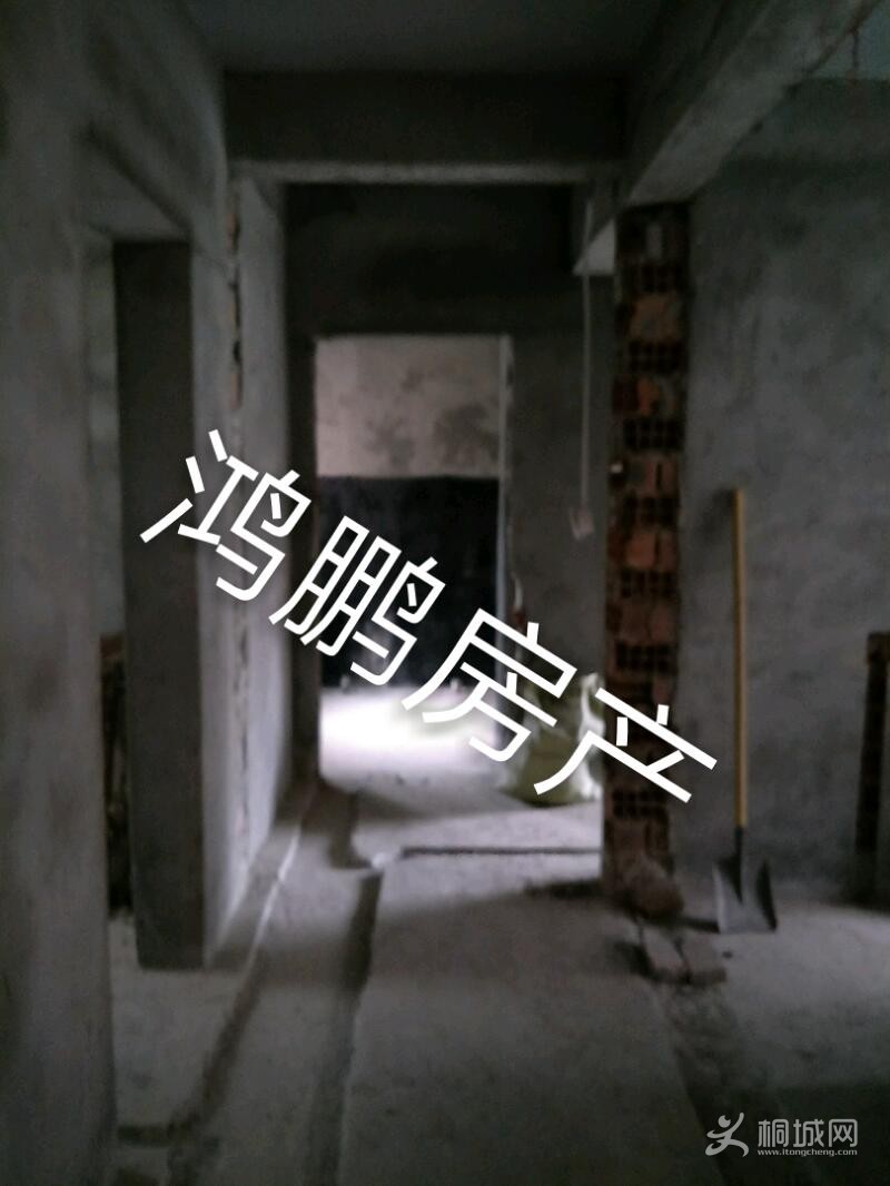IMG20190915173646_mh1568796642457.jpeg