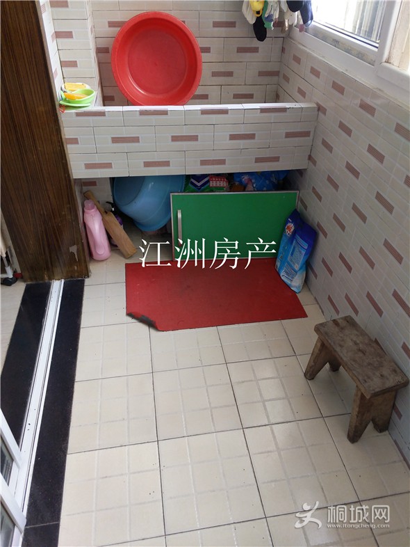 IMG_20191009_090426.jpg