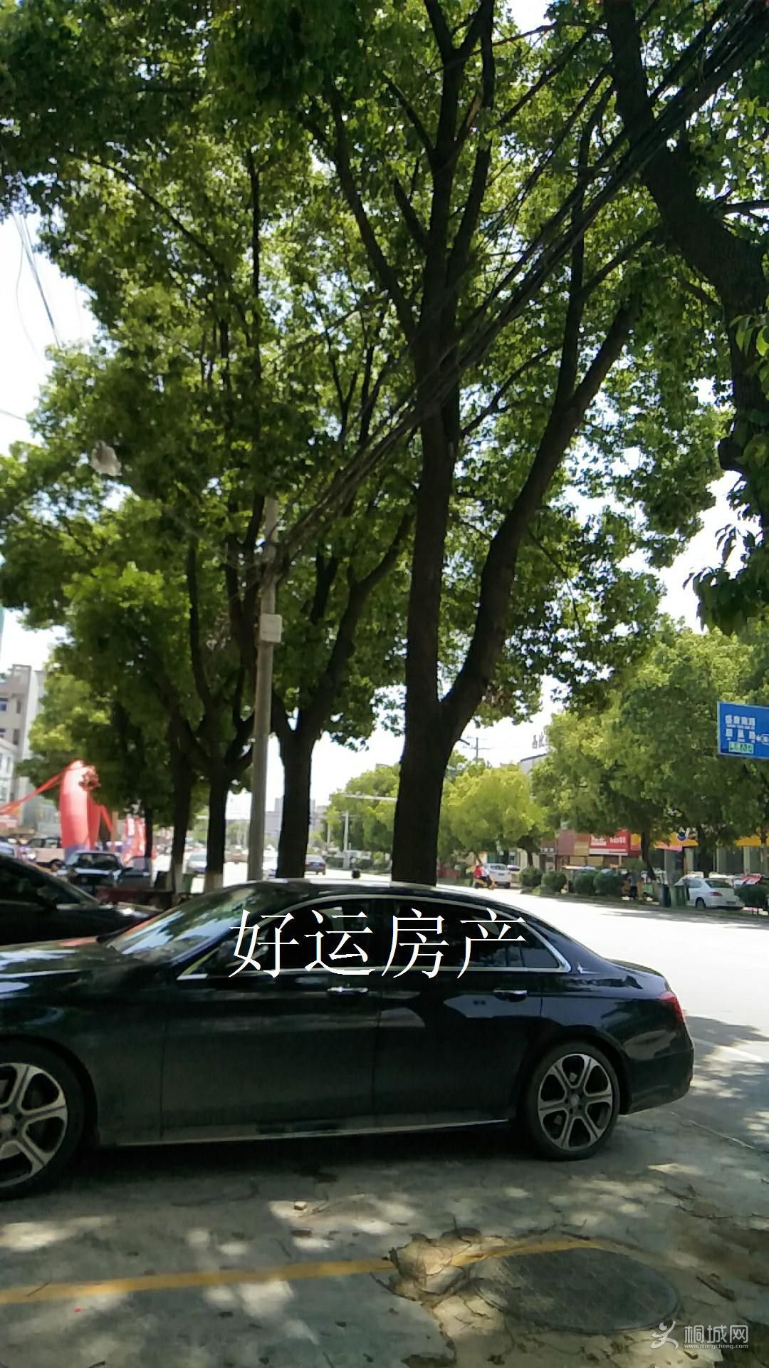 ΢ͼƬ༭_20190501134750.jpg