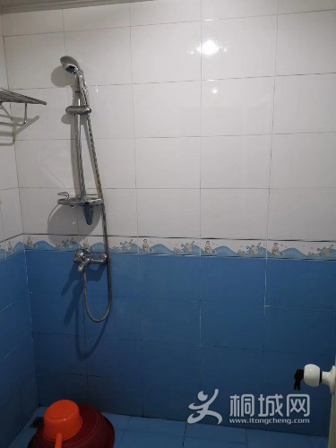 mmexport1572860084279.jpg