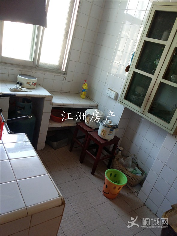 IMG_20191105_145040.jpg