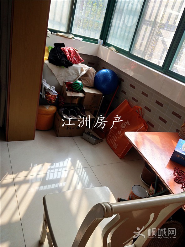 IMG_20191108_101507.jpg