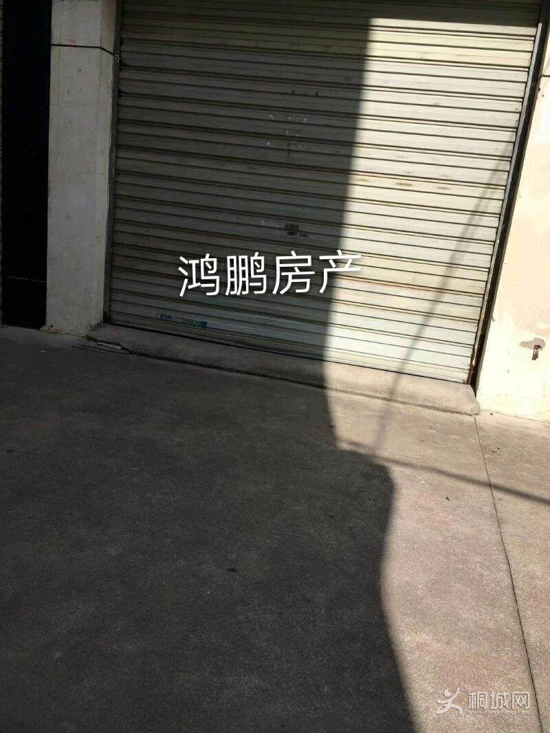 mmexport1572678828530_mh1572678913051.jpeg