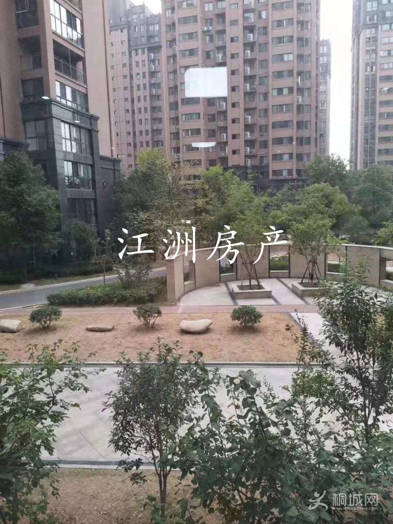 ZyjCS13J-G6AL_lKAAHdgn9EWNI946.jpg