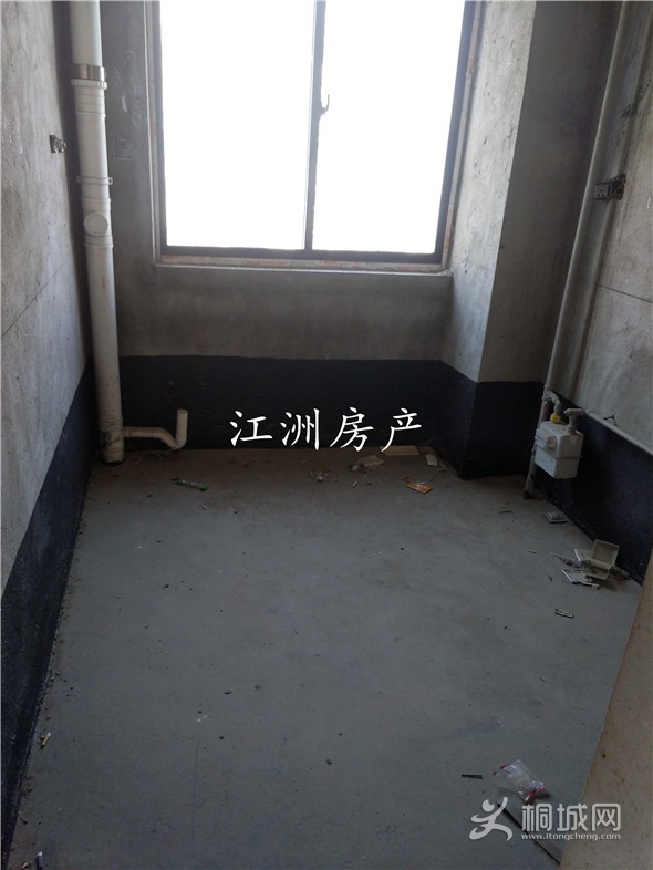 IMG_20191109_145638.jpg