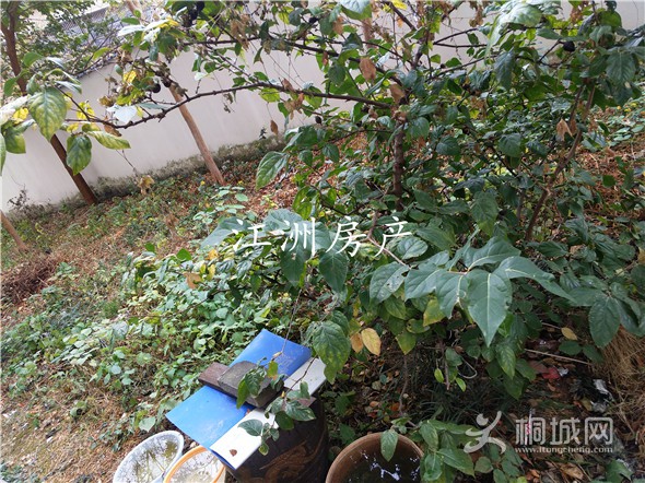 IMG_20191112_101854.jpg