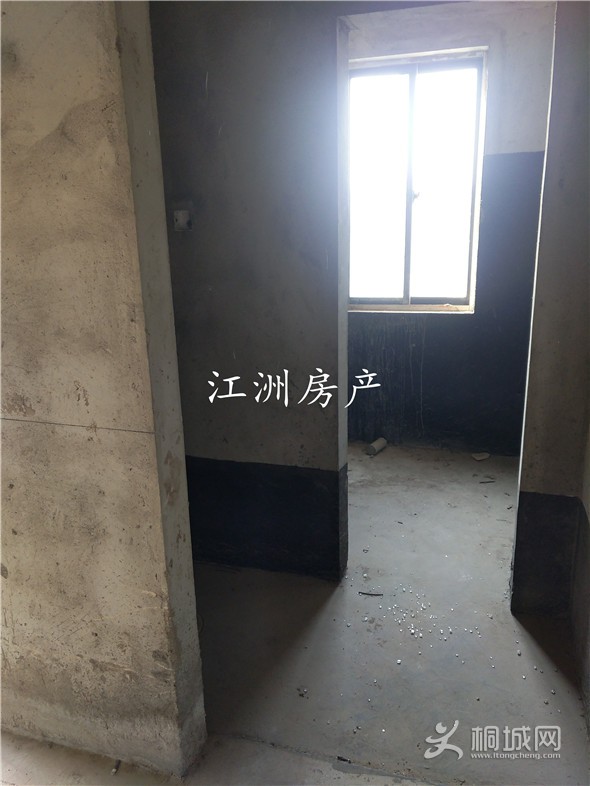 IMG_20191109_145631.jpg