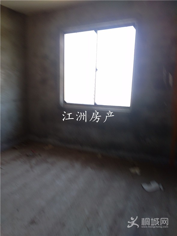 IMG_20191109_145641.jpg