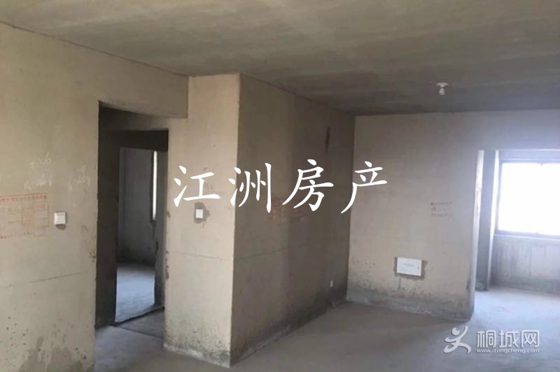 IMG_20191118_085547.JPG