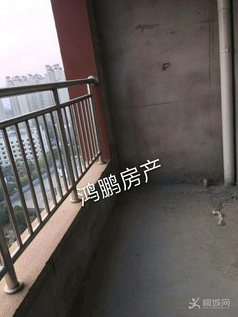 mmexport1573203111078_mh1573203161124.jpeg