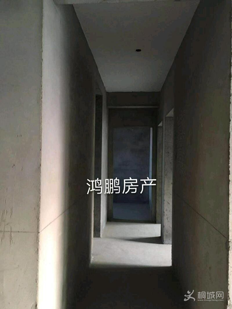 mmexport1573202522905_mh1573203285439.jpeg