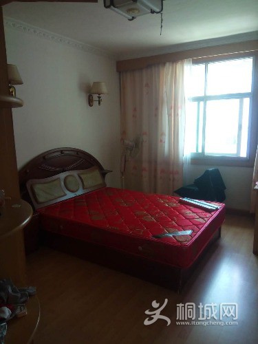 mmexport1574836470139.jpg