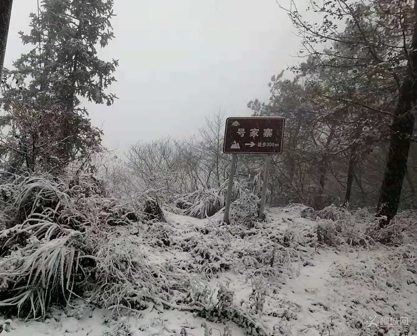 QQͼƬ20191127171044.jpg