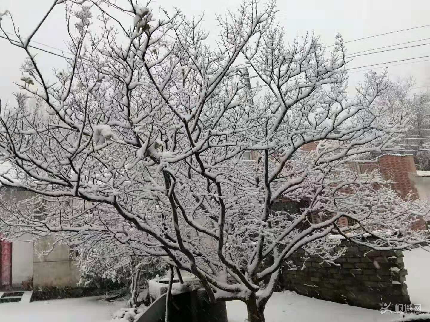 QQͼƬ20191127171041.jpg