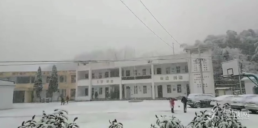 QQͼƬ20191127171329.png