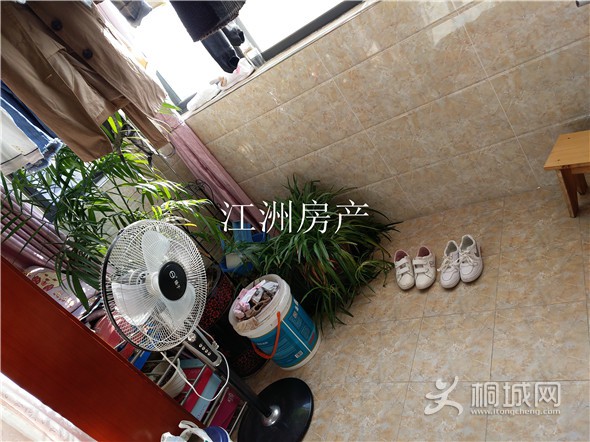 IMG_20191202_142726.jpg
