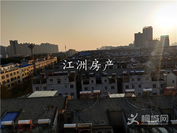 IMG_20191203_161612.jpg