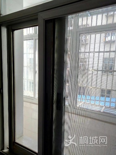 mmexport1575878368818.jpg