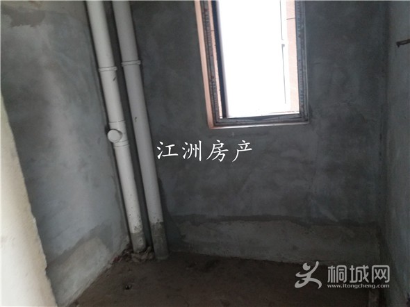 IMG_20191210_105145.jpg