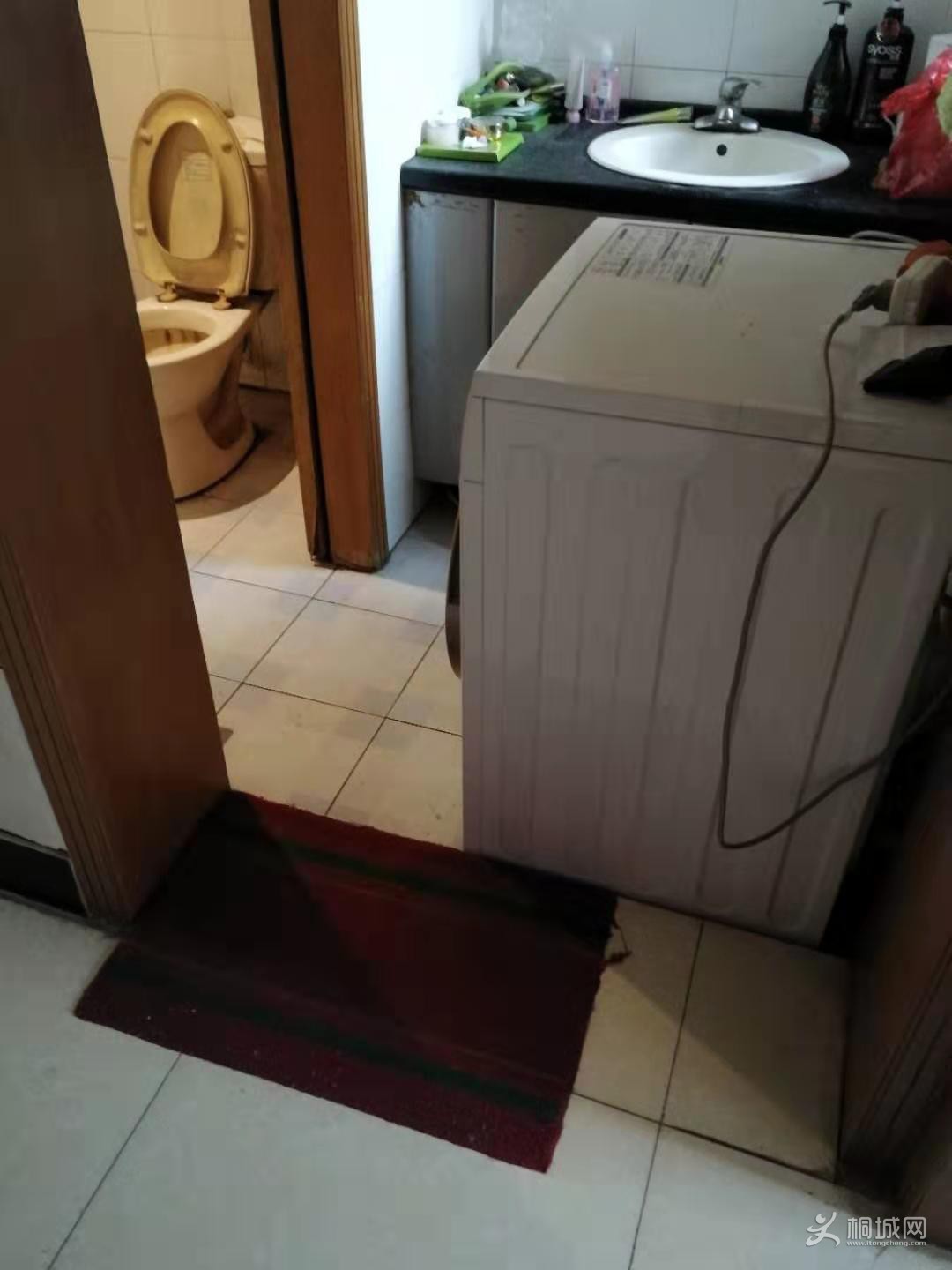 mmexport1575971703493.jpg
