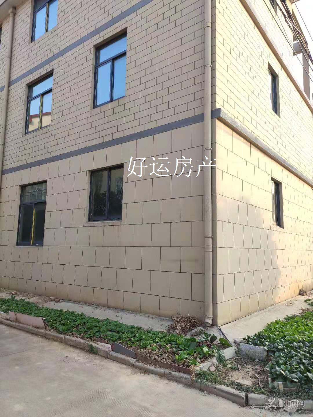 ΢ͼƬ༭_20191211164143.jpg