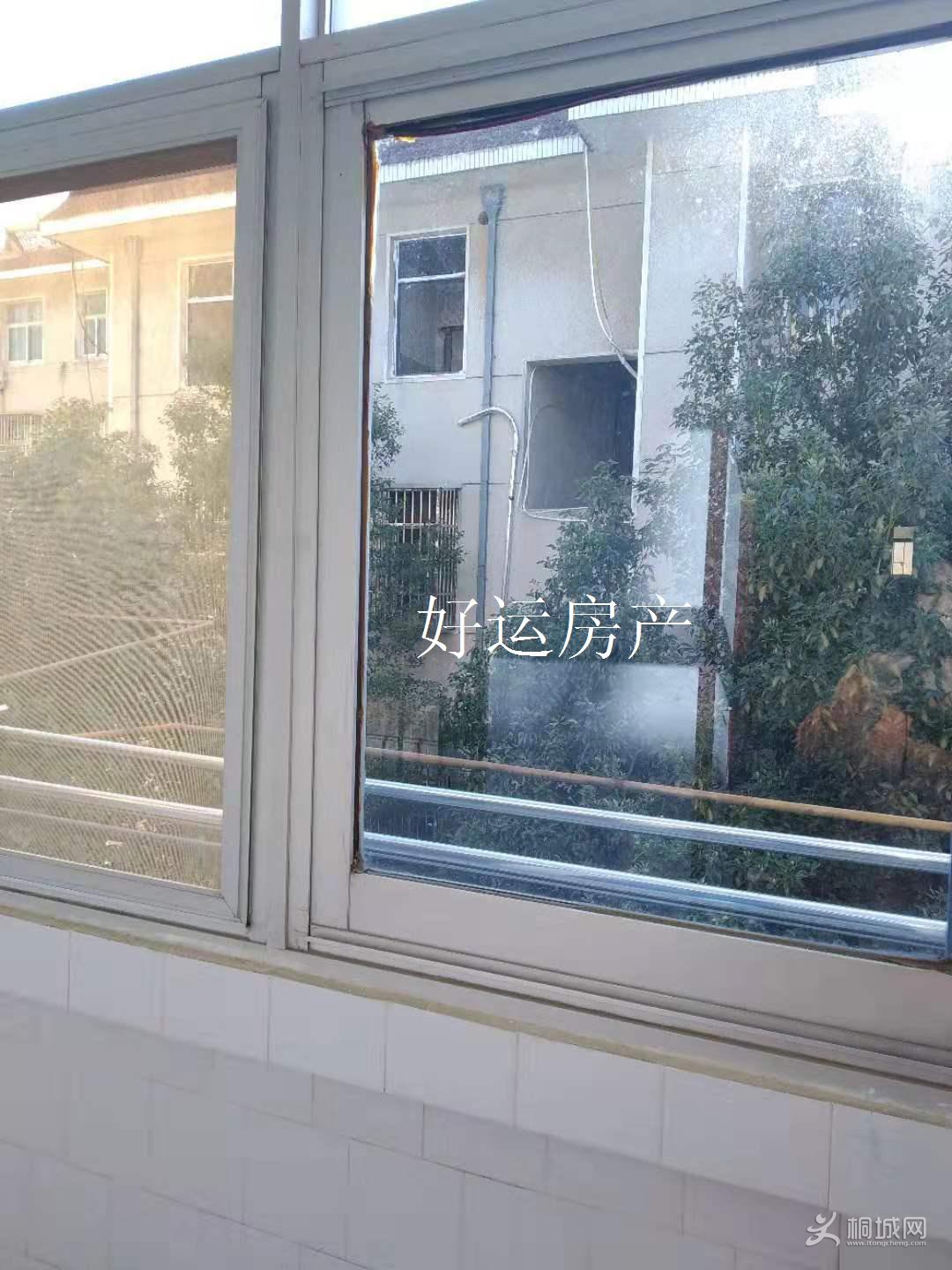΢ͼƬ༭_20191114145119.jpg